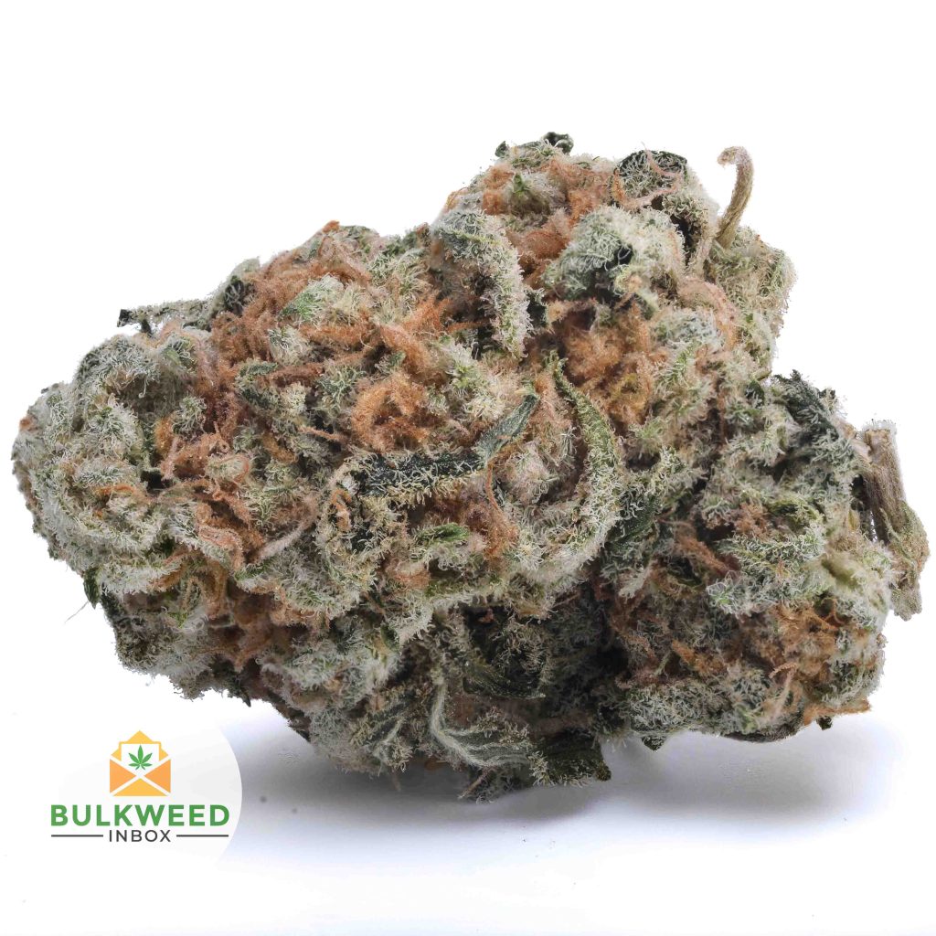 SILVER-HAZE-Budget-Bud1-2