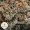 SILVER-HAZE-Budget-Bud2-2