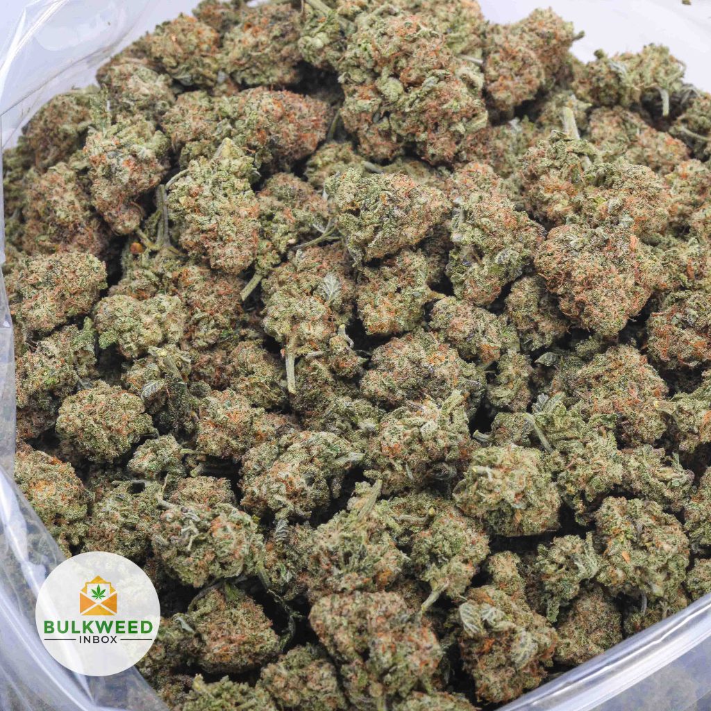 SKUNK-OG-AAA-2