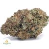SKUNK-OG-AAA1-2