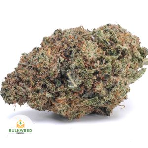 SKUNK-OG-AAA1-2