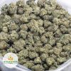 SKYWALKER-POPCORN-AAA-2