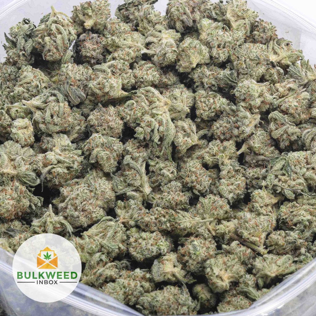 SKYWALKER-POPCORN-AAA-2