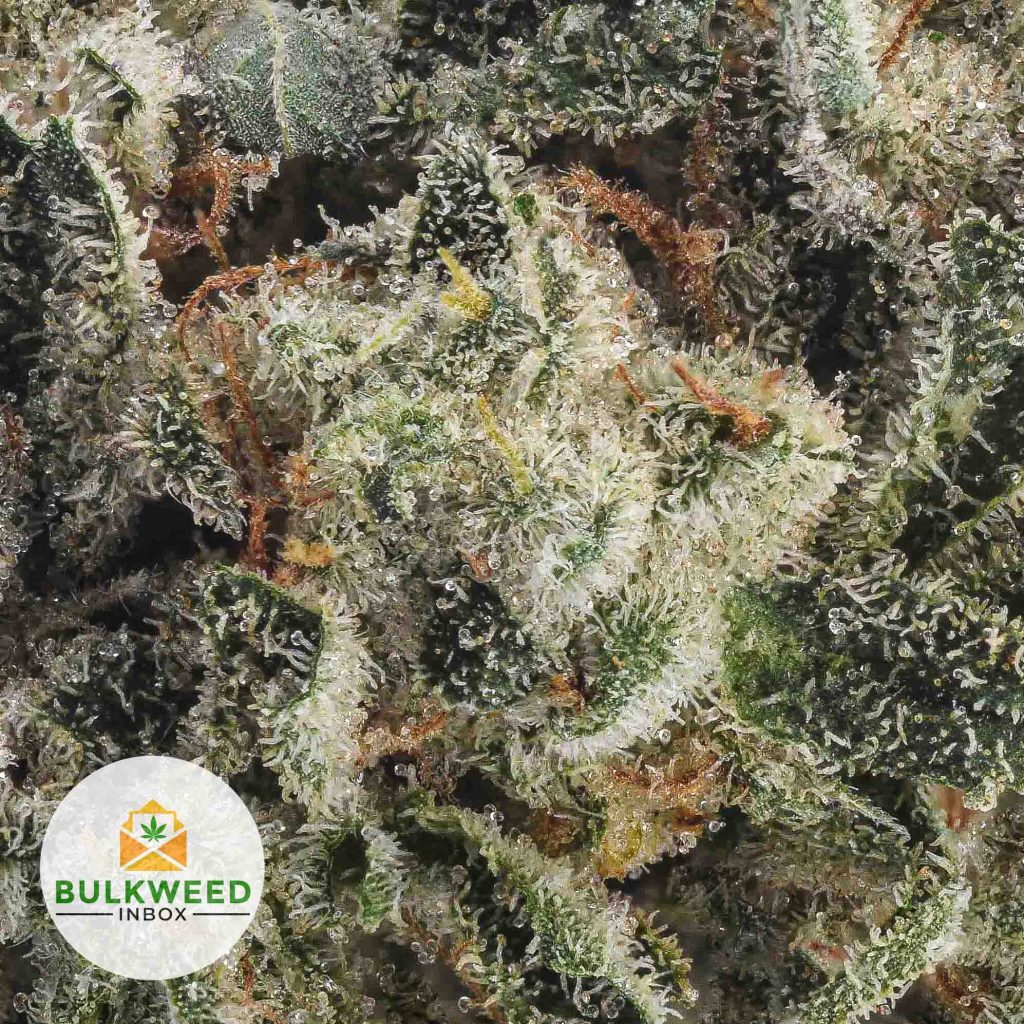 SKYWALKER-POPCORN-AAA1
