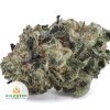 SKYWALKER-POPCORN-AAA1-2