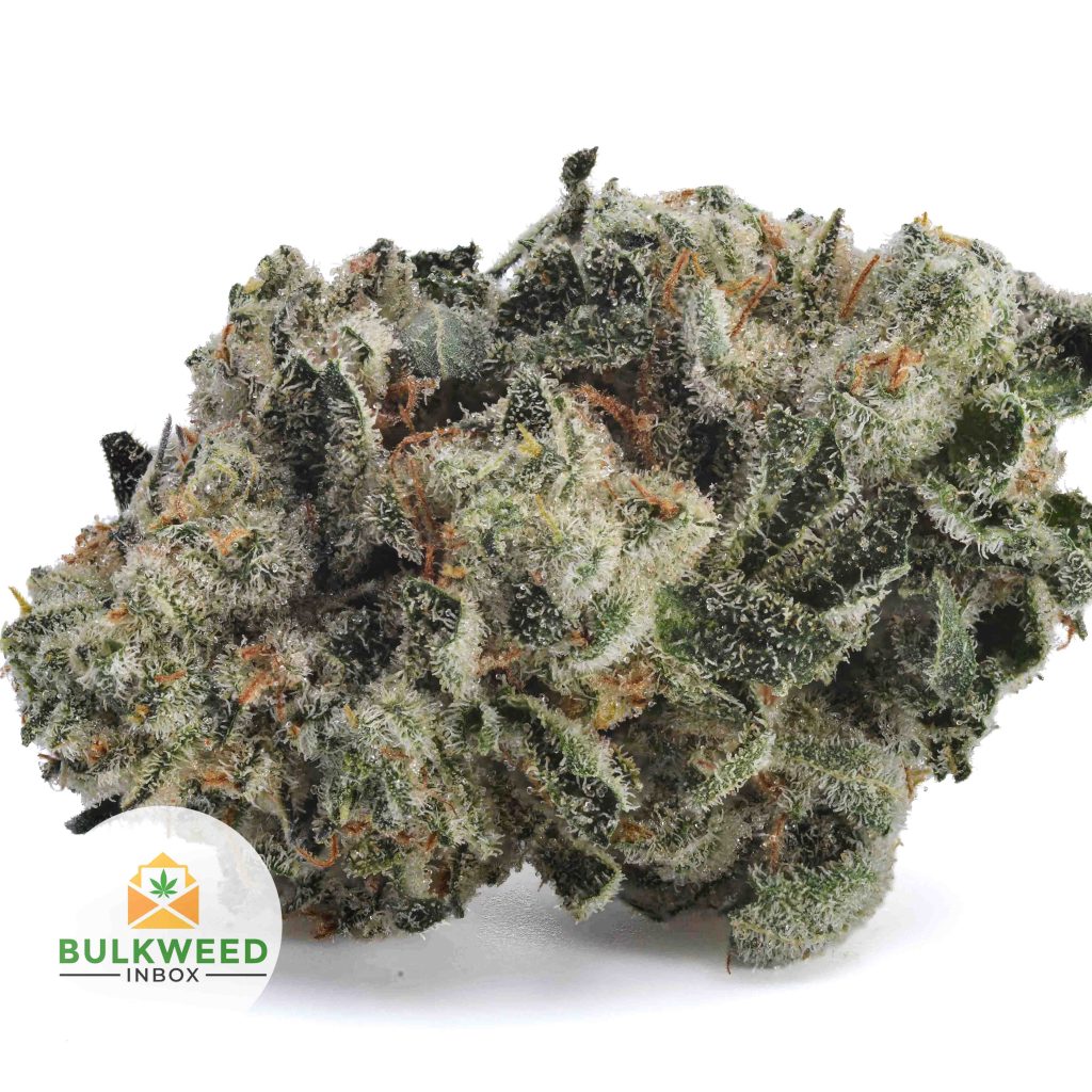 SKYWALKER-POPCORN-AAA1-2