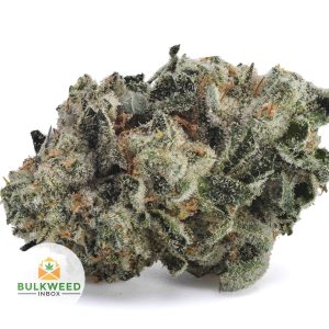 SKYWALKER-POPCORN-AAA1-2