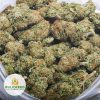 SNOW-WHITE-Budget-Bud-AAA-2