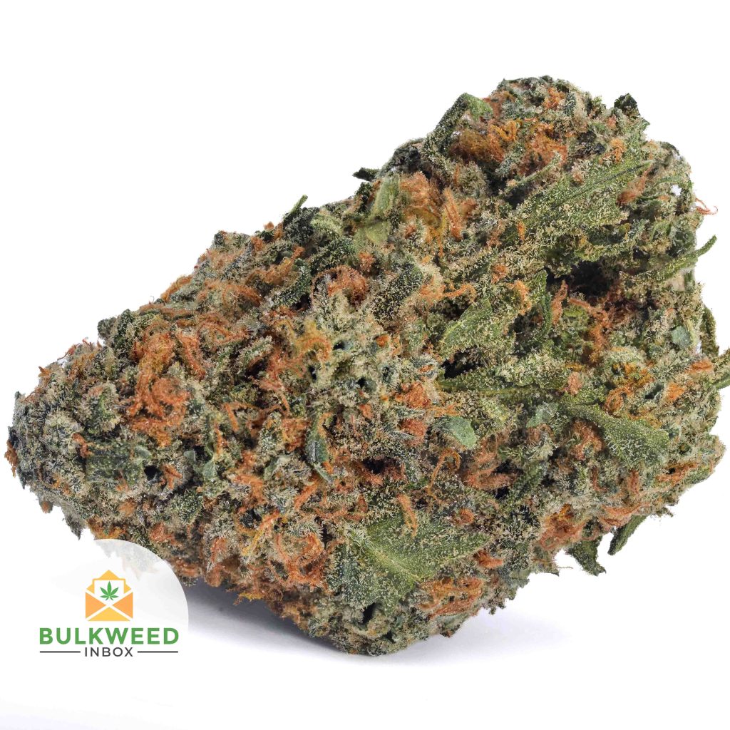 SNOW-WHITE-Budget-Bud-AAA1-2