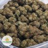 STARDAWG-AAA-3