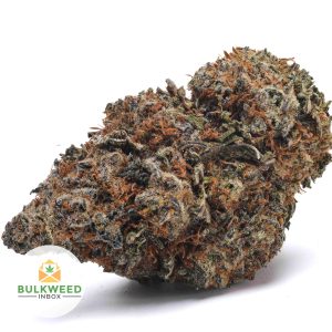 STARDAWG-AAA1-2