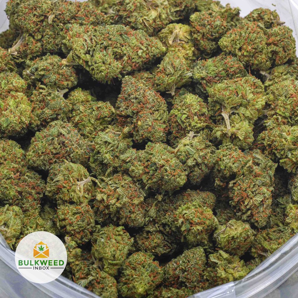 SUPER-LEMON-HAZE-AAA-1