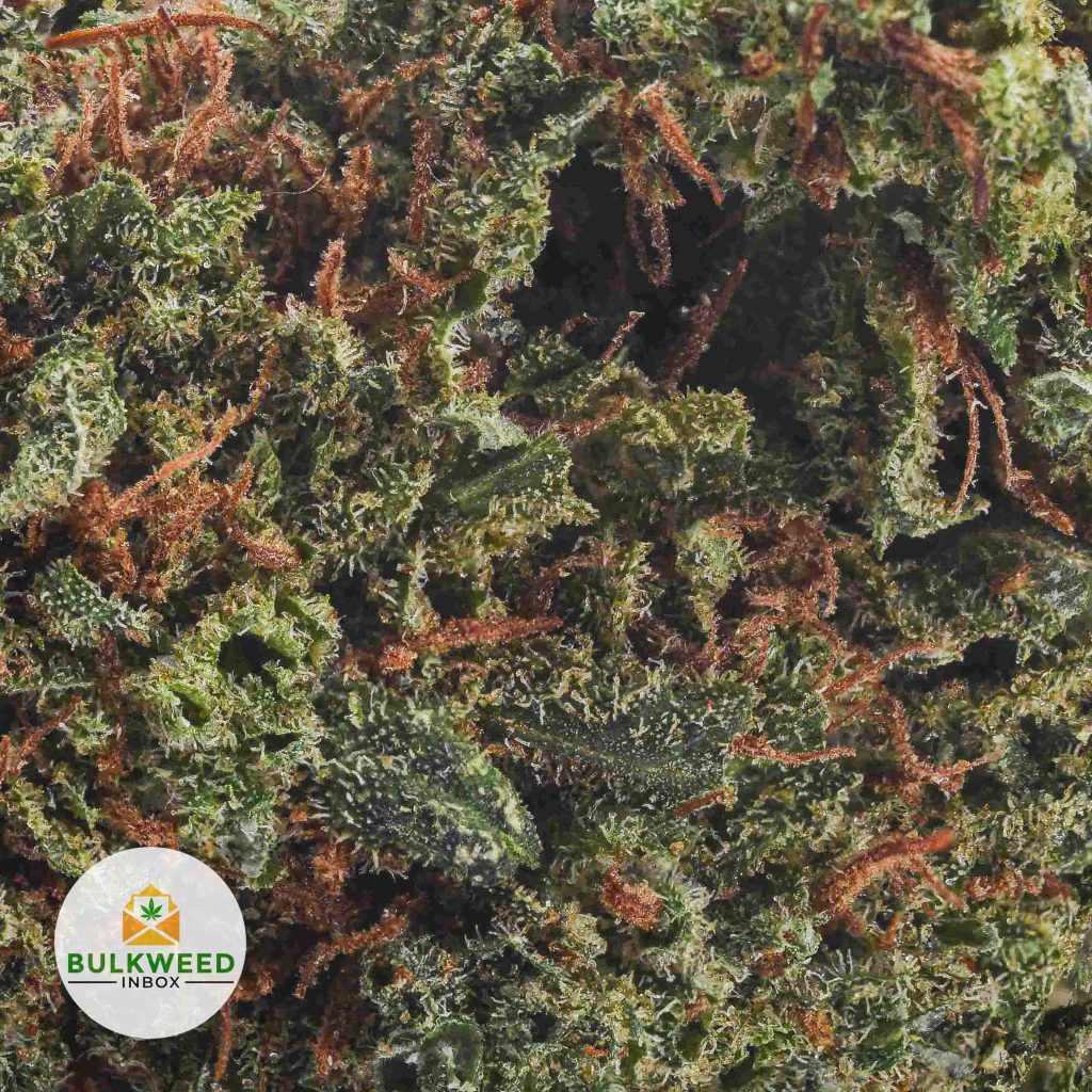 SUPER-LEMON-HAZE-AAA2-2-1