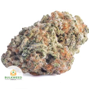 SWEET-TOOTH-AA1-2