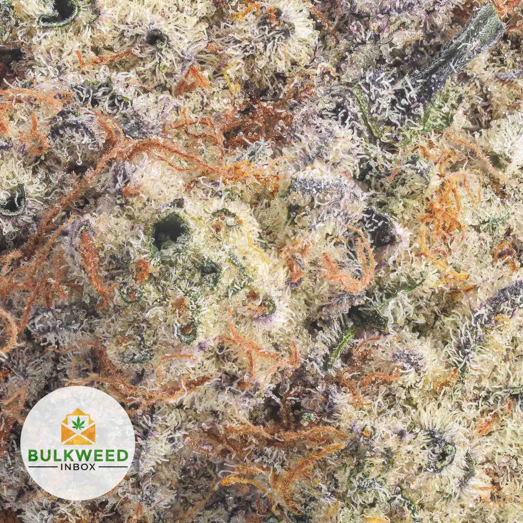 VANILLA-KUSH-AAA2-2