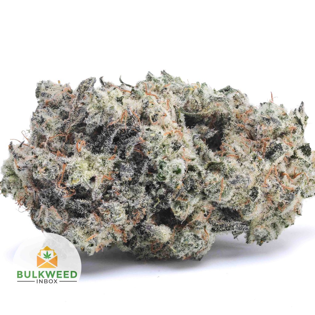 WHITE-HAZE-AAA1-2